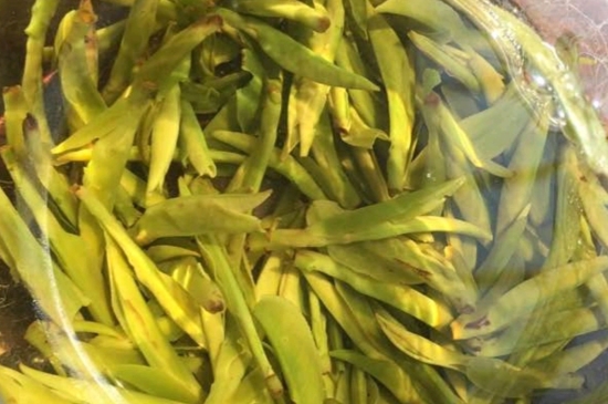 龍井是明前的好還是雨前的好，明前茶和雨前茶哪個好喝？