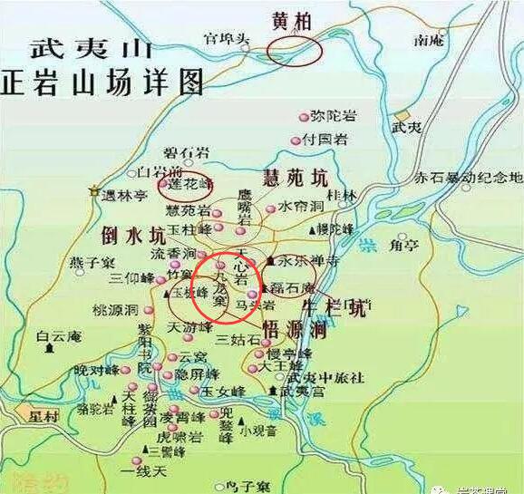 母樹大紅袍給誰喝了，為什么母樹大紅袍叫三棵六株？