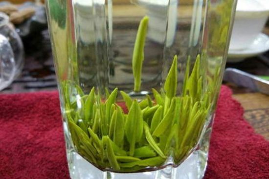 雀舌有一股青草味，雀舌為什么有青草味？