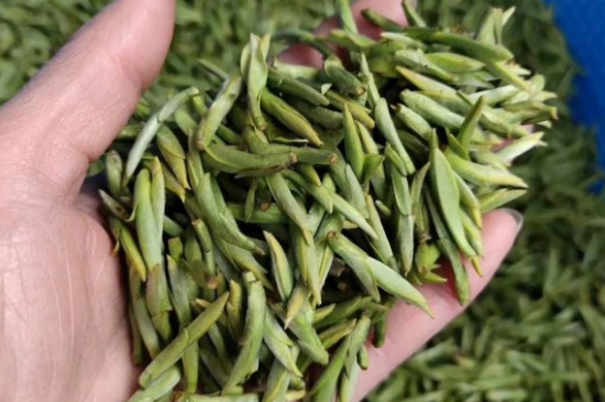 龍井茶好壞的鑒別圖片，如何區(qū)別龍井茶的好壞？