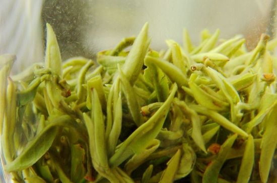 碧螺春為什么泡水渾濁，碧螺春茶葉泡水感覺很臟是混濁的