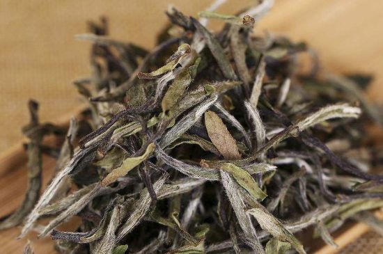 什么人不能喝白茶，白茶不宜什么人喝？