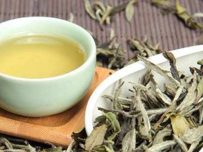 大紅袍好還是白茶好，福鼎白茶和大紅袍哪個貴？