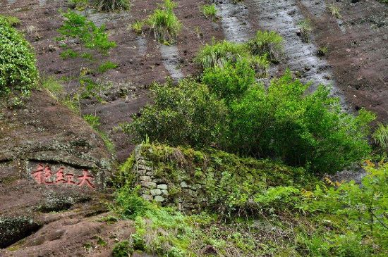 武夷巖茶大紅袍，喝起來是什么味道？