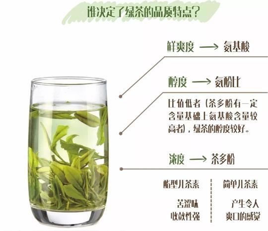 什么綠茶口味重口感濃郁，口味比較重的綠茶都有那些？