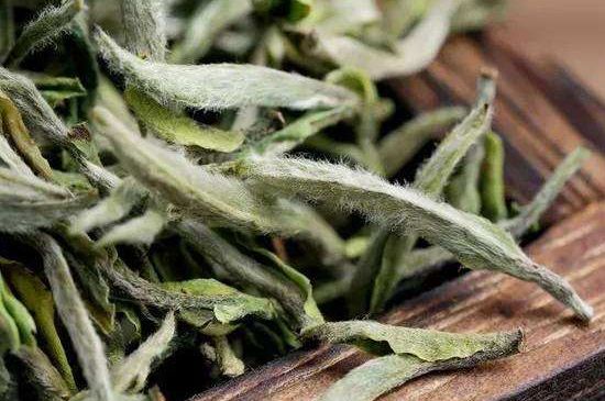 荒野銀針有什么特點，荒野銀針的味道口感咋樣？