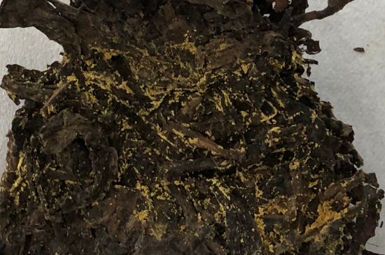 怎么知道涇渭茯茶是否變質(zhì)，茯磚茶金花和發(fā)霉的區(qū)別