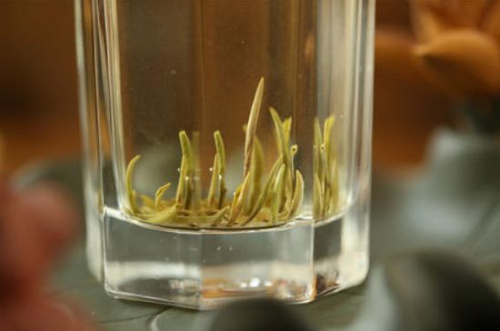 踏雪蘭妃是什么茶，踏雪蘭妃是哪里的茶葉?