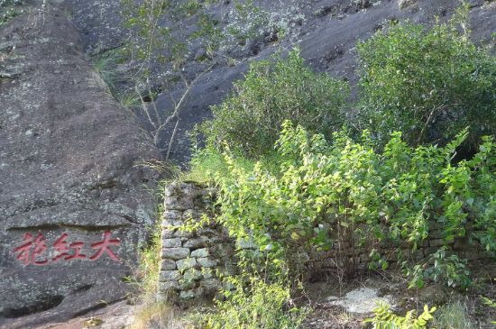 母樹大紅袍給誰喝了，為什么母樹大紅袍叫三棵六株？