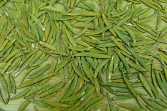 竹葉青和毛尖的區(qū)別，毛尖和竹葉青怎么分辨？