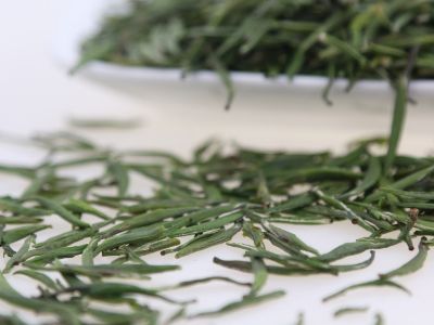 霍山黃芽算是好茶嗎，霍山黃芽屬于什么茶？