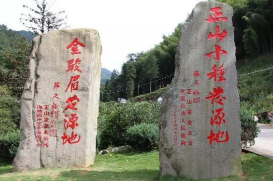 300塊錢的金駿眉能喝嗎，兩三百多金駿眉和一千多區(qū)別