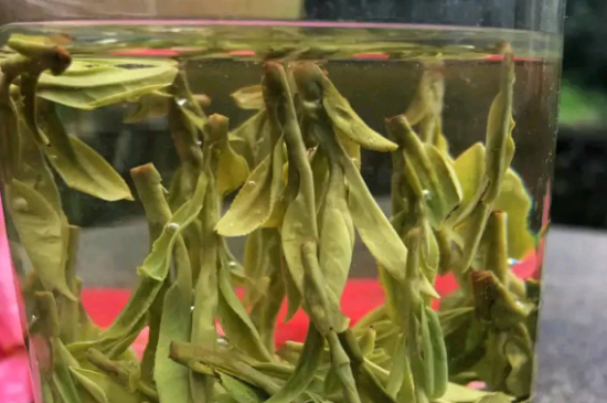 什么綠茶最香最好喝，綠茶口感與香氣排名