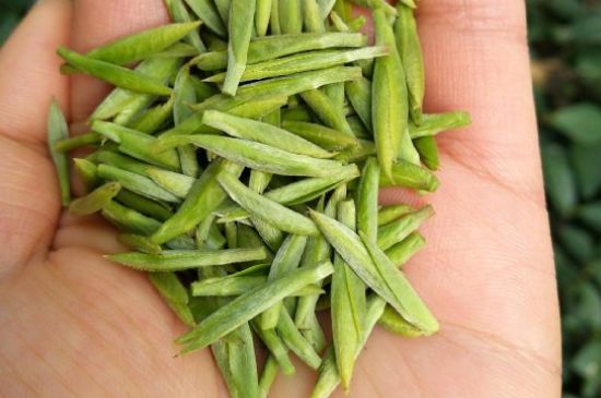 什么綠茶味道濃香，那個綠茶比較濃香？