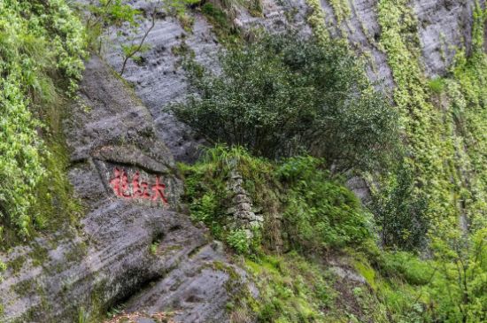 大紅袍為什么沒保質(zhì)期，武夷巖茶大紅袍能放幾年？