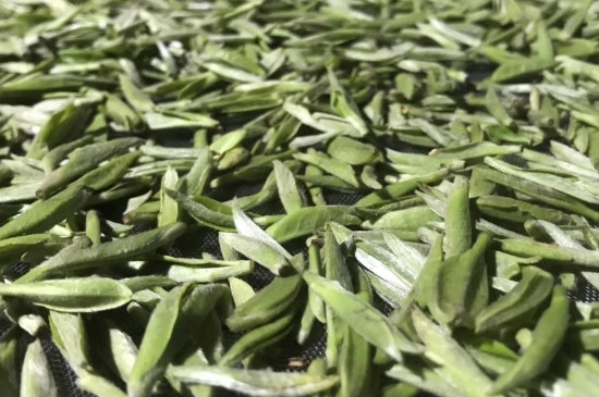 白毫銀針年份久的有什么香，陳年白毫銀針的香氣