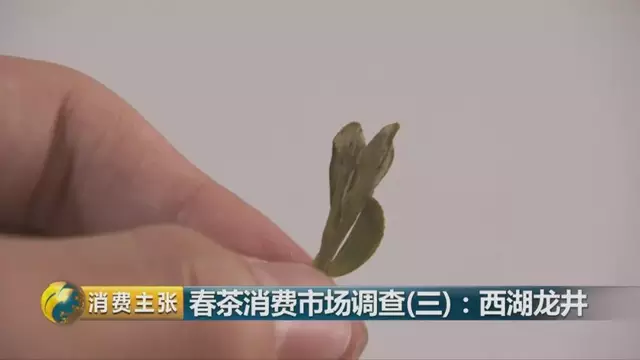 龍井群體種和43號(hào)的區(qū)別圖片，龍井43和群體種哪個(gè)好喝？