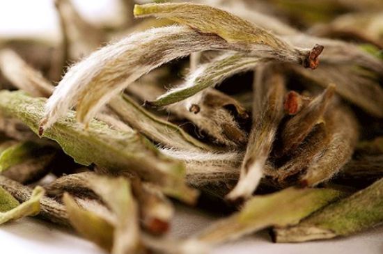 荒野銀針有什么特點，荒野銀針的味道口感咋樣？