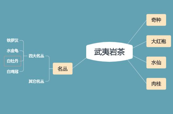 武夷巖茶品種大全，巖茶有幾種？