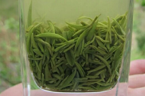 什么綠茶茶葉唇齒留香，哪個品種綠茶香氣好？