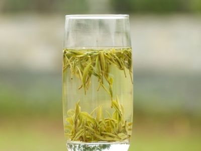 霍山黃芽算是好茶嗎，霍山黃芽屬于什么茶？