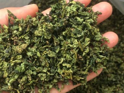 鐵觀音毛茶茶梗可以泡水喝嗎，鐵觀音帶梗是不是好茶？