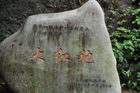 母樹大紅袍給誰喝了，為什么母樹大紅袍叫三棵六株？