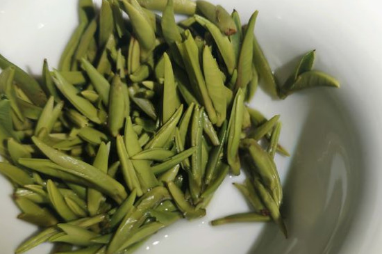 竹葉青茶怎么泡，竹葉青如何沖泡