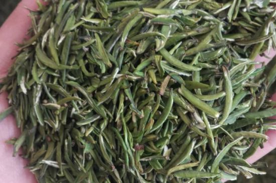 金壇雀舌算不算好茶，金壇雀舌屬于什么檔次茶葉？