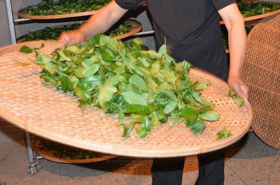 鐵觀音加香精騙局，鐵觀音的香味是添加香精了嗎？