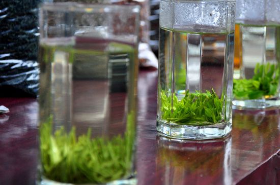 綠茶放了三年還能喝嗎，綠茶放久了喝了會(huì)怎樣