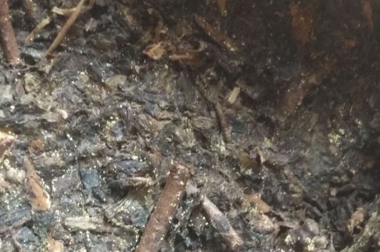 黑茶茯茶保存五大忌，茯茶收藏的注意事項