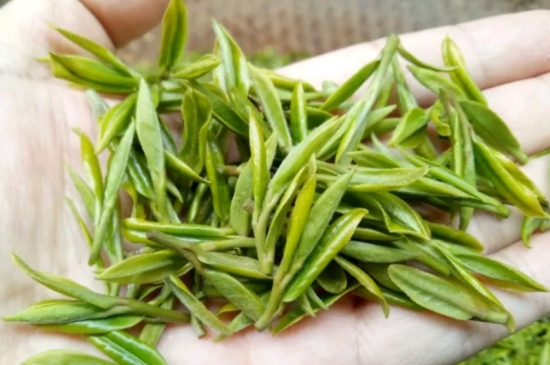 什么是雪前龍井茶，明前、雨前、雨后龍井有什么區(qū)別？