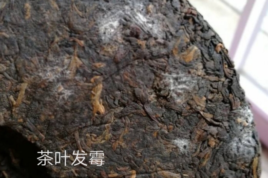 西湖龍井茶毫和發(fā)霉區(qū)別圖片，長霉的龍井茶葉會是什么樣？